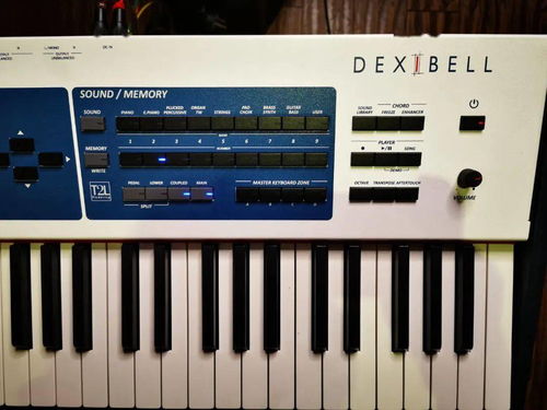 Dexibell S9對比雅馬哈機械鋼琴與工作站 選琴如品酒，硬件零售新視角