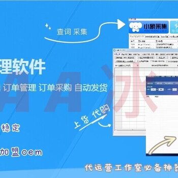 拼多多無貨源店群軟件開發與生態賦能 技術、招商與運營一體化解決方案