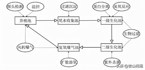 工廠化循環水系統在大口黑鱸養殖中的應用及信息系統運行維護服務