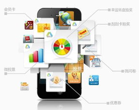 雙遼服務卓越的APP商城開發與信息系統運行維護服務